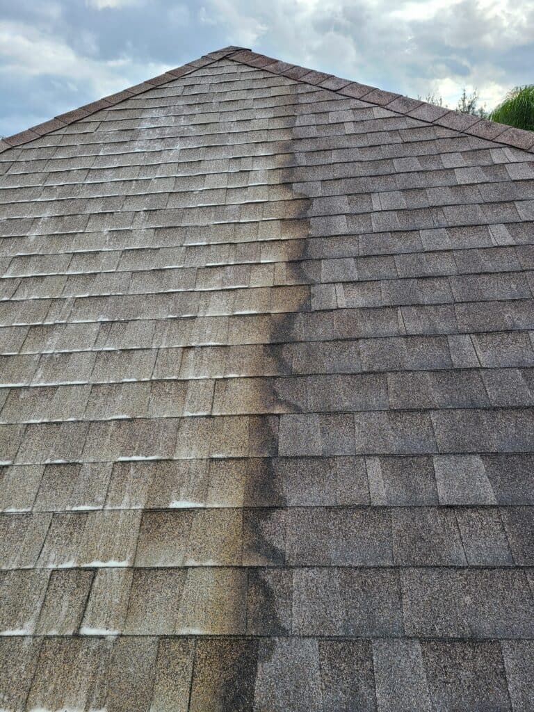 Roof Washing Services in Bellaire, TX